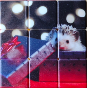 Lucy present pattern.