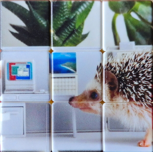 Lucy working from home pattern.